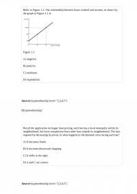 MicroEconomic 16078