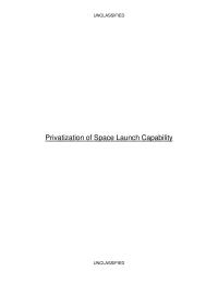 Privatization Of Space Launch Capability