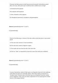 CAS BI 47815