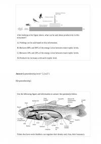 CAS BI 83959