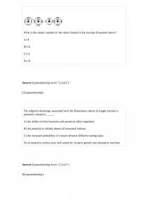 CAS BI 49533