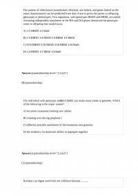 CAS BI 68933