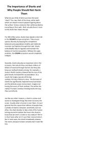 The Importance of Sharks and Why People Should Not Harm Them