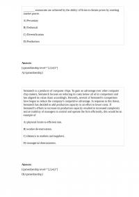 MGMT 55356