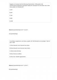 Economics 53325