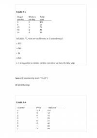 MicroEconomic 76339