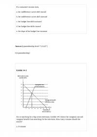 ECON A 87811