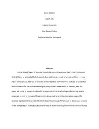 Gun Policy Research Paper