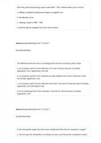 ECON E 96205