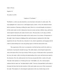 Analysis Of The Rattler