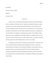 Career Essay Martin 1Jamie