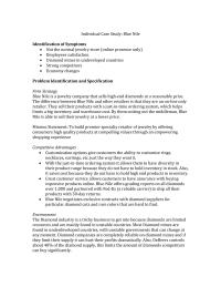 Individual Case Study: Blue Nile