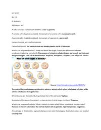 Mitosis Lab
