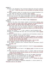Prof Kilian Practical Question