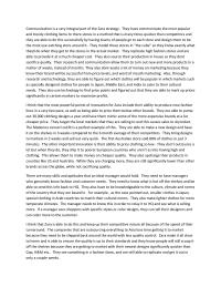 Zara Analysis