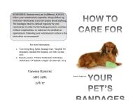 Veterinary Bandage Care