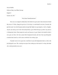 Guns Essay
