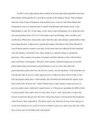 Ecology Reflection