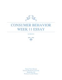 Consumer Behavior