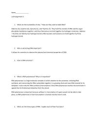Lab Assignment 2