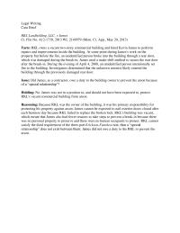 Case Brief