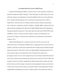 ENTERPRISE RISK MANAGEMENT (ERM) PAPER