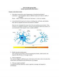 Developmental Psych