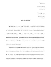 Cat v. Bird Case Study