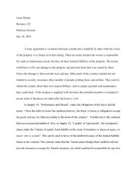 Contract Analysis Luisa
