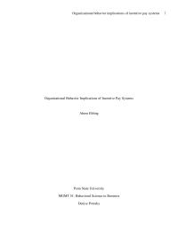 Organizational Behavior Implications of Incentive Pay Systems