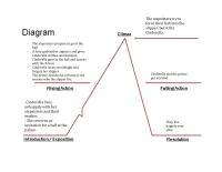 Plot Diagram
