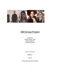 ism 3011 group project