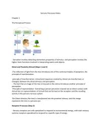 Sensory Process Notes