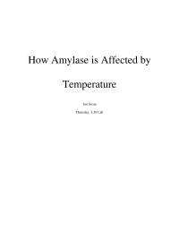 Temp affect on Amalase