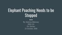 Elephant Poaching Needs To End