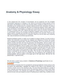 anatomy