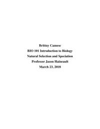 Natural Selection and Speciation