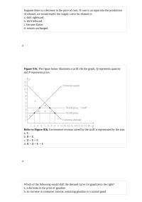 ECON 10363