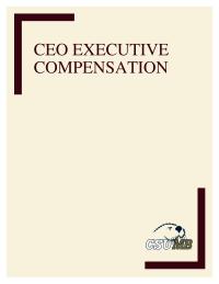 CEO Compensation Essay