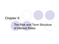 Money banking Chapter 6 The Risk