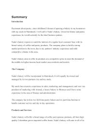 B SummaryntroductonPassonate