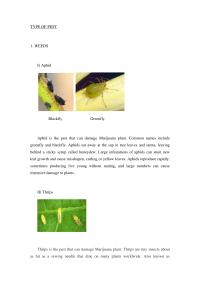 Type Of Pest