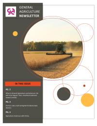 Newletter