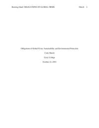 Obligations of Global Firms: Sustainability and Environmental Protection