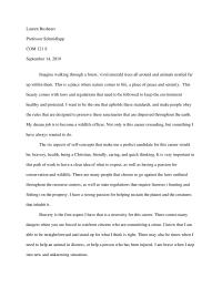Dream Job Essay