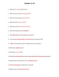 A&P Chp 11-13
