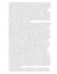 Iphone Case Write Up