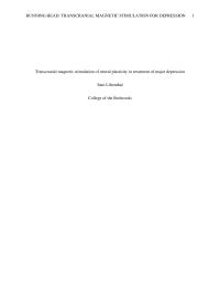 Transcranial Magnetic Stimulation for Major Depression