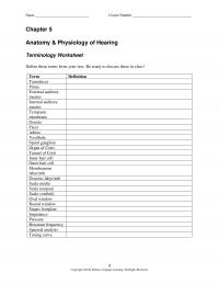 978-1133018216 Chapter 5 Terminology Worksheet