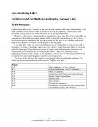 978-1133018216 Chapter 6 Neuroanatomy Lab 1 Seikel